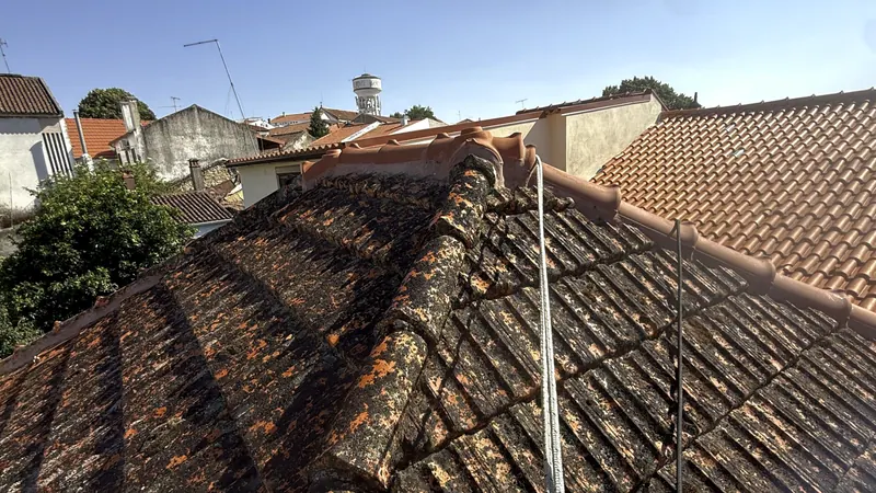 Telhado com telhas escuras cobertas de musgo
